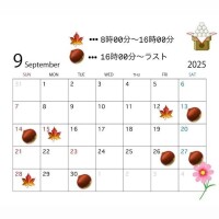 ナノハ