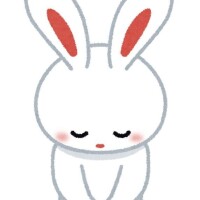 エコ