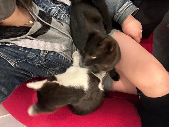 [お題]from:ラッキーさん