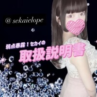 ?セカイのトリセツ?