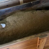 ありがとうキテネしたよ?????