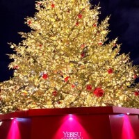 ??お休みの日のおでかけ??