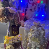 さたぱんびぃん?