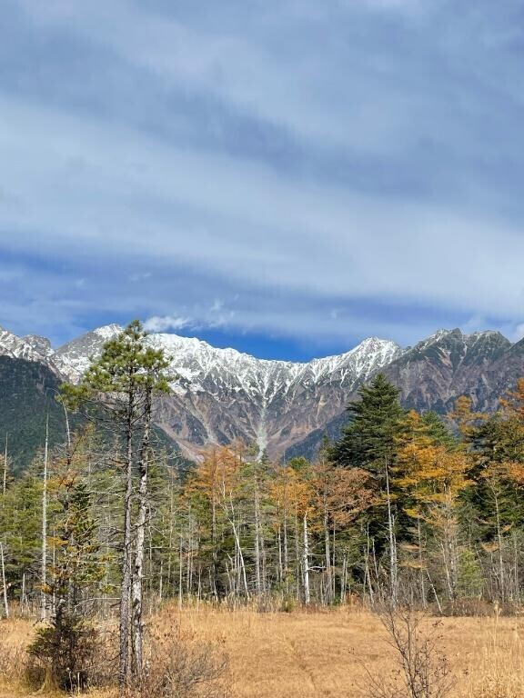 やみつきに、、なる？?