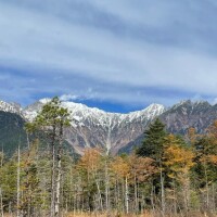 やみつきに、、なる？?