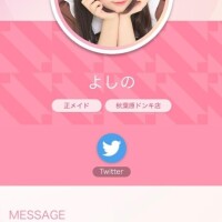 アキバのメイドでした?