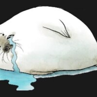 ごめんなさい??