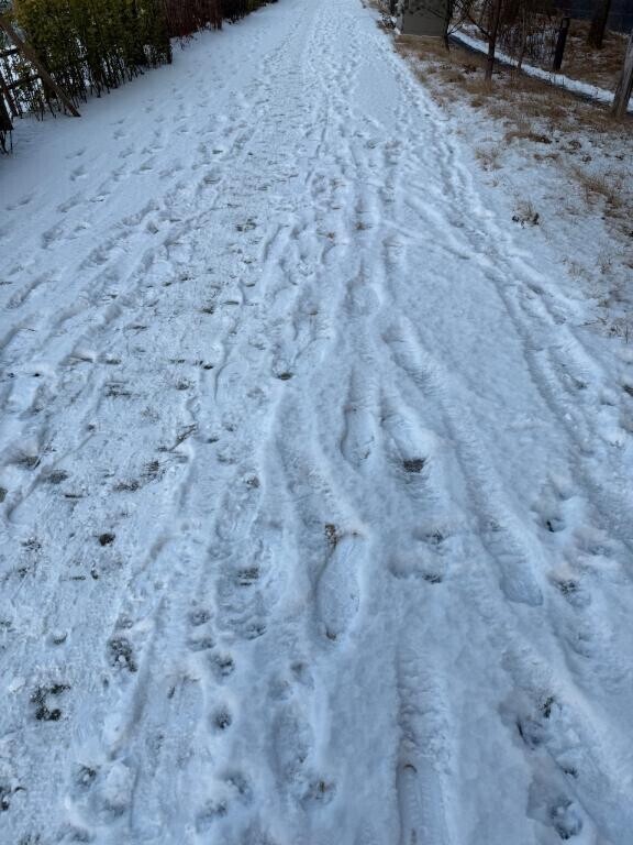 ?はじめまして?