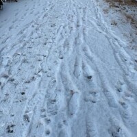 ?はじめまして?