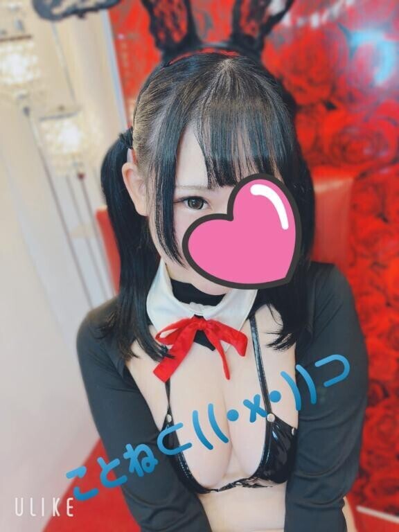 いるまるよー⊂((・x・))⊃