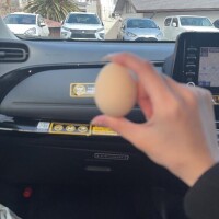 明日24日16時ーです