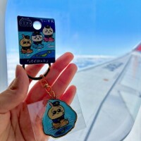 5月は丸々お休みです?