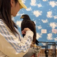 コルネ休みの日何しとるん?②