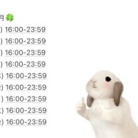 ?今後の予定?