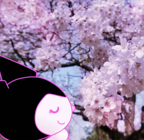 桜雨