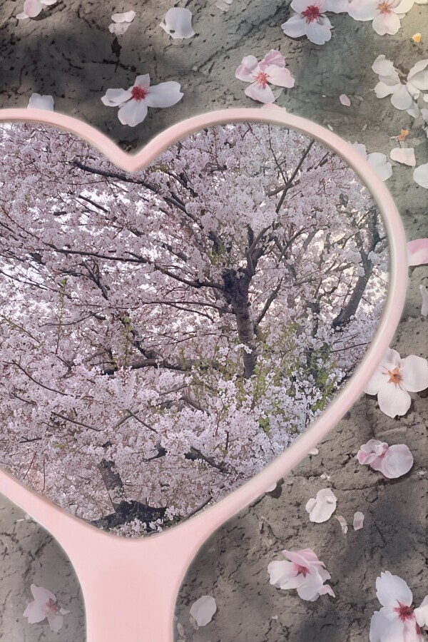 🌸今日🌸