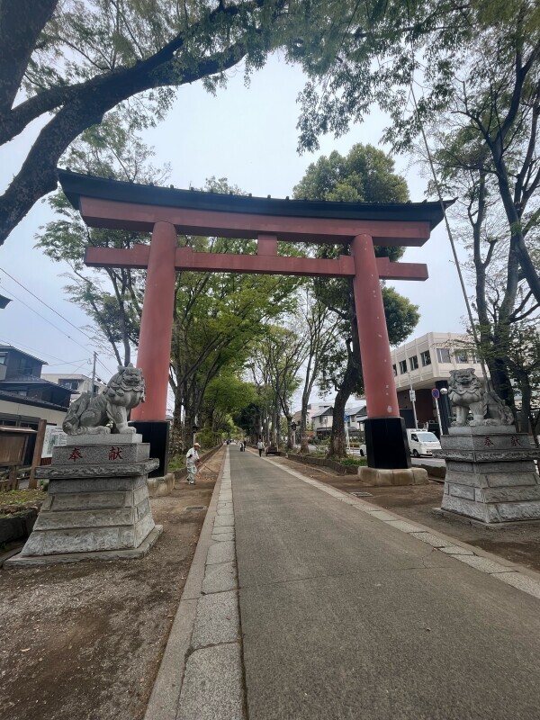 来週は