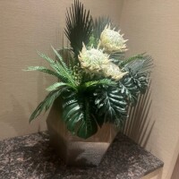 ひな
