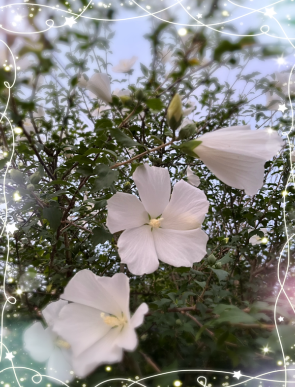 お天気出勤♡