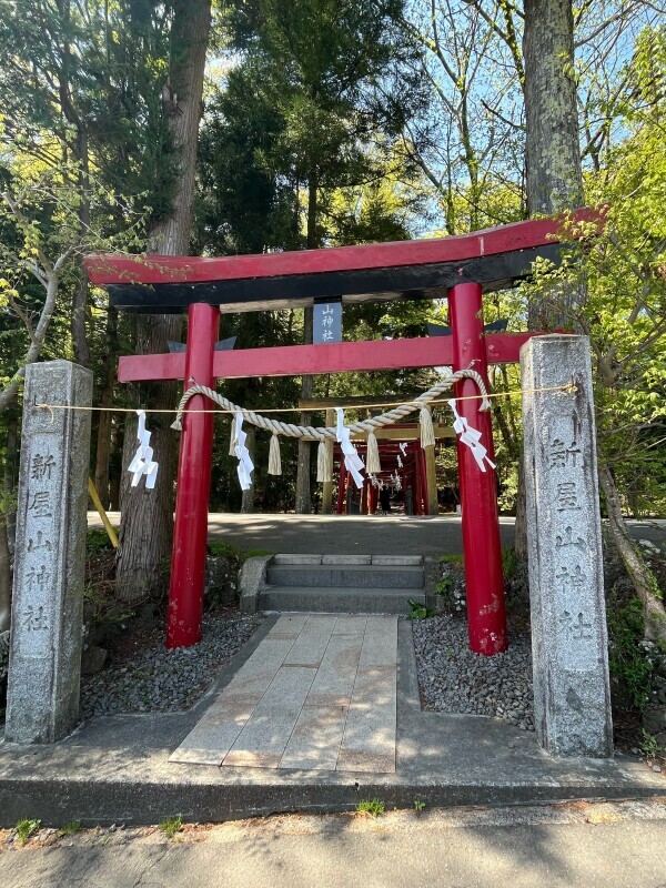 旅に