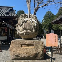 ひな
