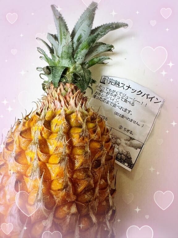 おみや♪