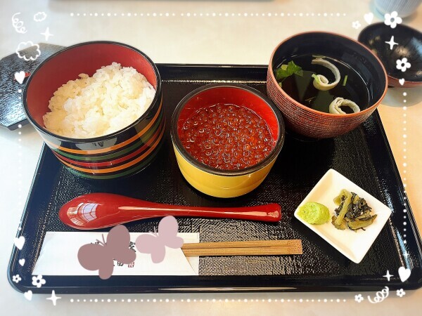 昨日は