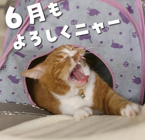 到着しました（???）