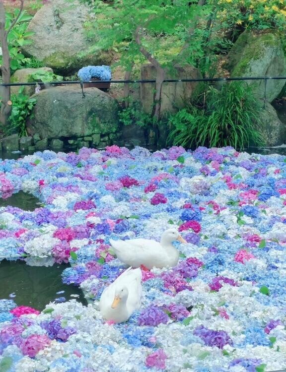 入りました！