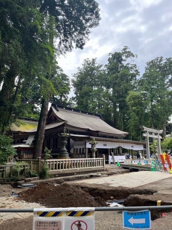 今日は