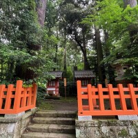 ひな