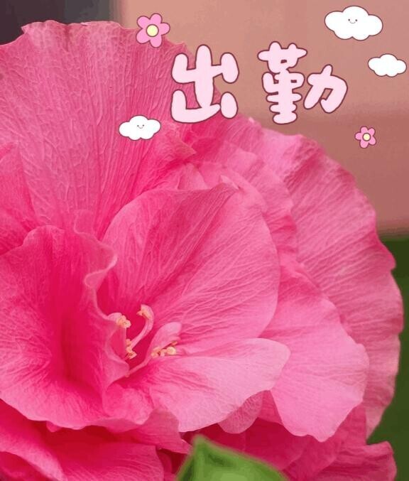 本日15時に変更になりました