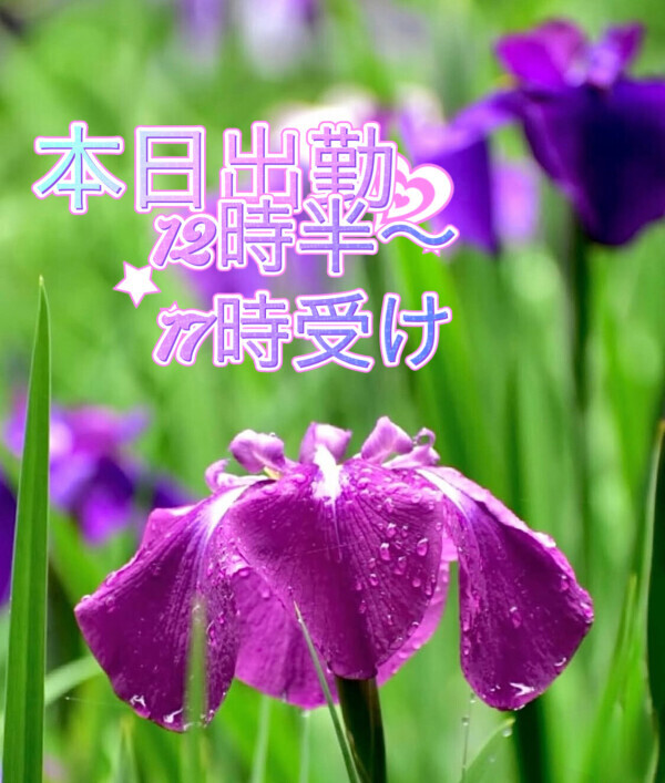 出勤向かいます