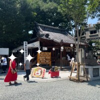 ひな