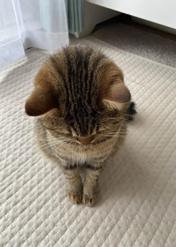 出勤します。