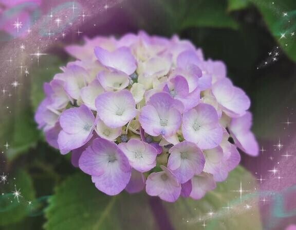 昨日は?
