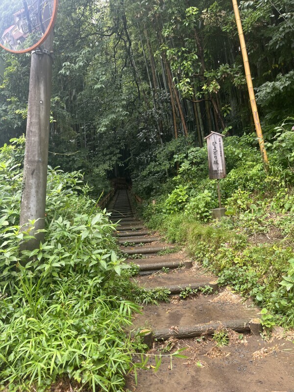 昨日も今日も！