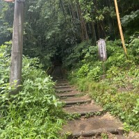 ひな