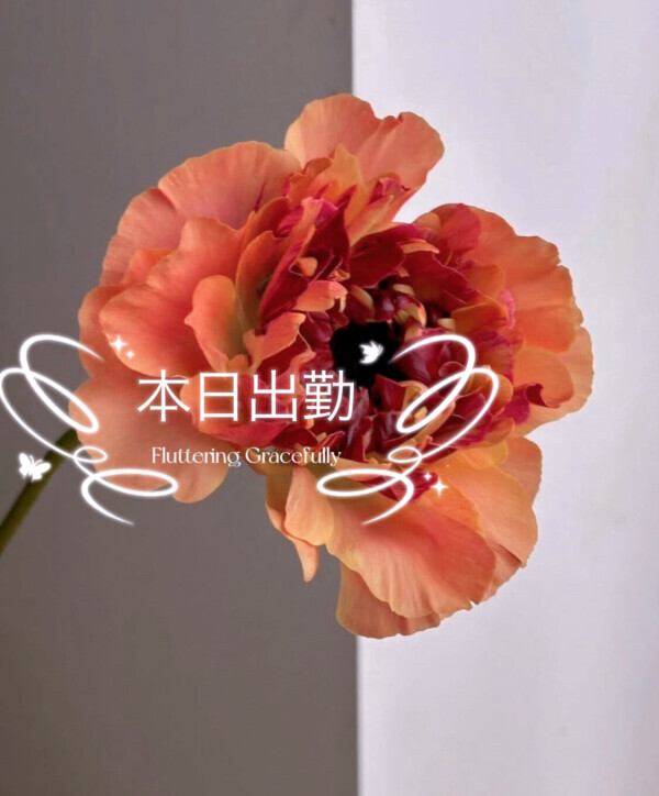 出勤♡