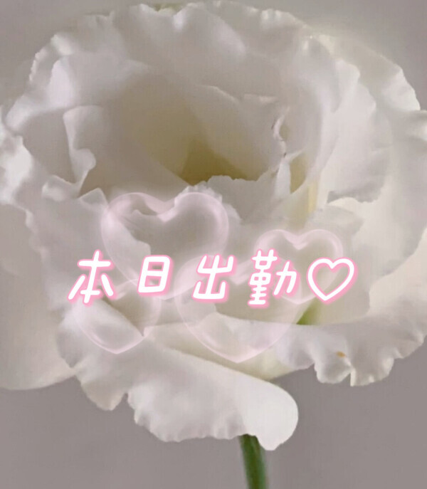 出勤♡