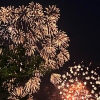 ひな