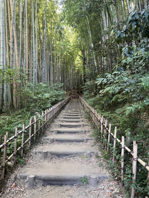 ７月。そして８月