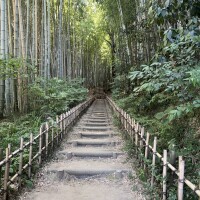 ひな