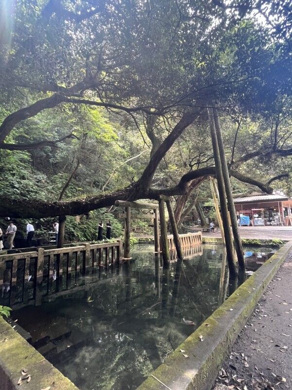 ９月に
