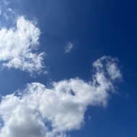 ひな