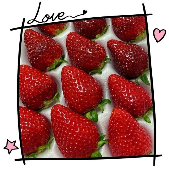 ビタミン^_－☆