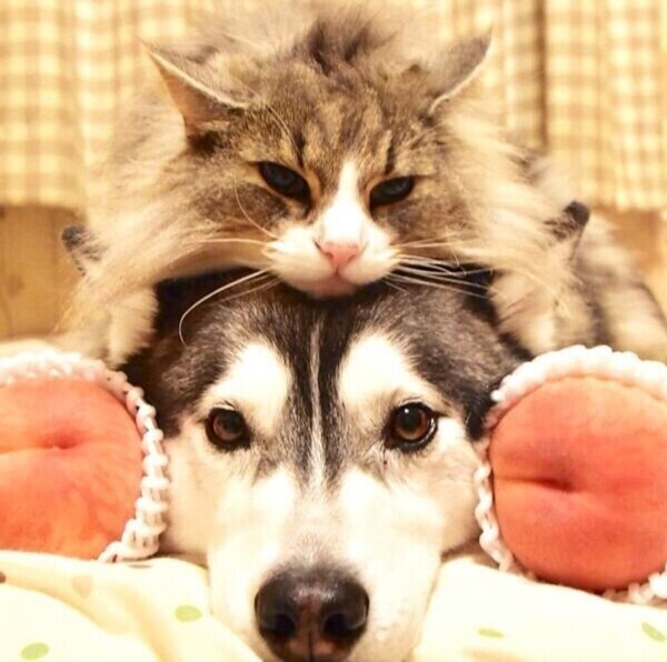 ★御礼日記★ 2月17日(火)