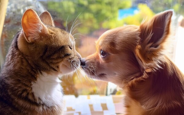 ★御礼日記★ 2月18日(水)