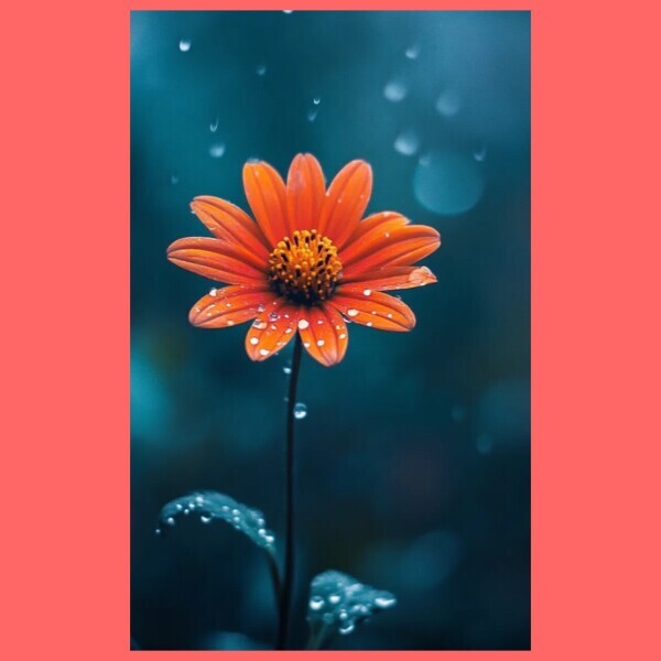 🌥️土曜日☁️