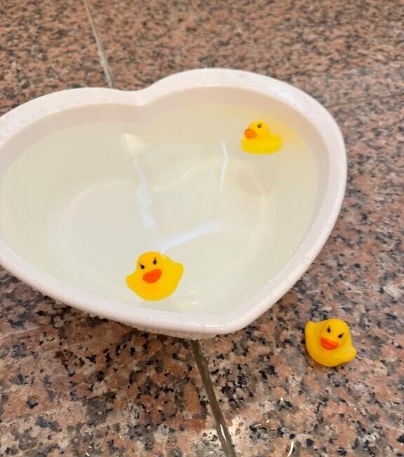 陽気?